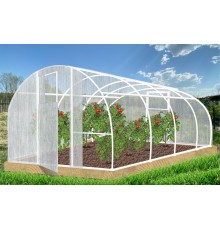 Теплица Кормилица 4х3х2,1м окрашенная, 2 двери
