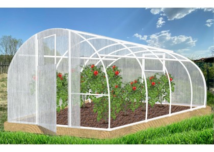 Теплица Кормилица 4х3х2,1м окрашенная, 2 двери