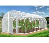 Теплица Кормилица 6х3х2,1м Усиленная с поперечным ребром жесткости, окрашенная, 2 двери