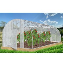 Теплица Кормилица 6х3х2,1м неокрашенная, 2 двери