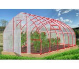 Теплица Рекорд 6х3х2,4м Каплевидная, окрашенная, 2 двери