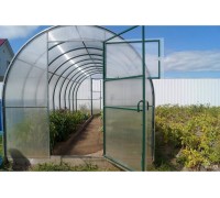 Конструктор-Теплица Кормилица Огуречная, окрашенная, 2 двери