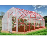 Конструктор-Теплица Рекорд, окрашенная, 2 двери