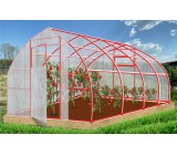 Конструктор-Теплица Рекорд, окрашенная, 2 двери