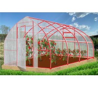Конструктор-Теплица Рекорд, окрашенная, 2 двери