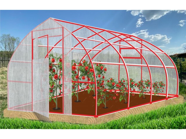 Конструктор-Теплица Рекорд, окрашенная, 2 двери