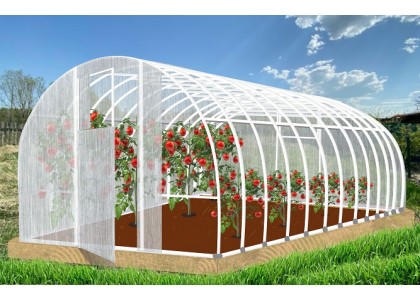 Теплица Кормилица 6х3х2,1м Суперусиленная, окрашенная, 2 двери