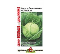 Капуста Июньская ранняя 0,5г (Аэлита) Лидер