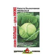 Капуста Июньская 0,5г (Аэлита) Лидер