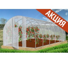 Теплица Народная 6х3х2,1м оцинкованная, 2 двери