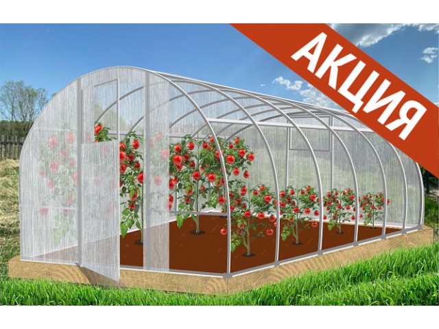 Теплица Народная 6х3х2,1м оцинкованная, 2 двери