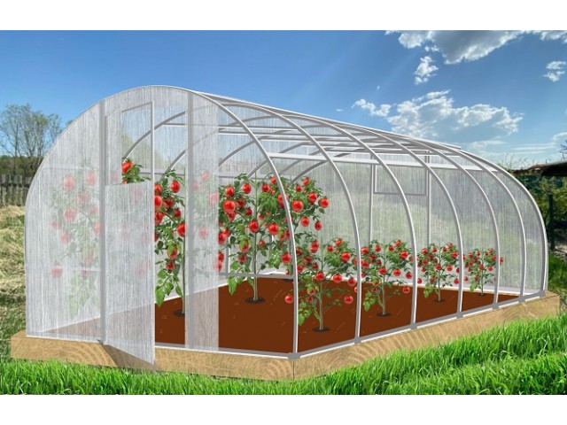 Теплица Народная 6х3х2,1м Усиленная, оцинкованная, 2 двери