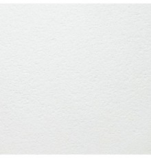 Потолочная панель BIOGUARD Plain Board 600х600х12мм 