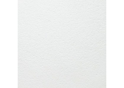 Потолочная панель BIOGUARD Plain Board 600х600х12мм 