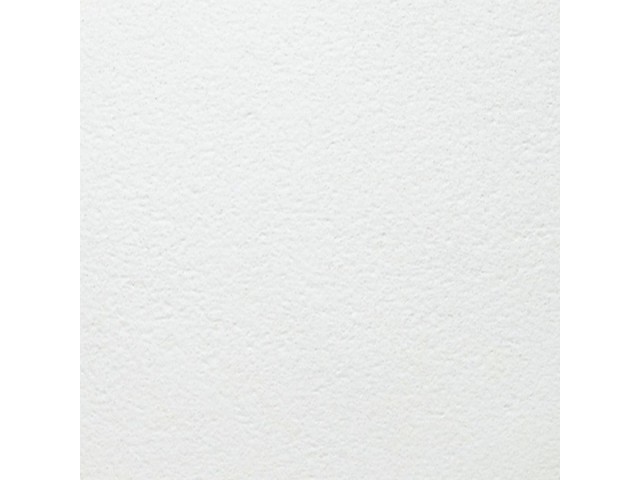 Потолочная панель BIOGUARD Plain Board 600х600х12мм 