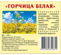 Горчица белая 500г (ЗП) 