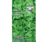 Салат Зима 0.5г, листовой (СеДеК)