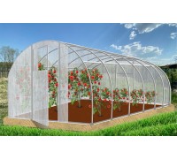 Теплица Кормилица 6х3х2,1м неокрашенная, 2 двери