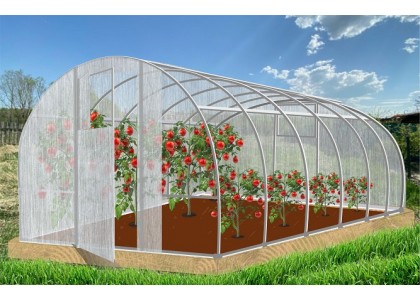 Теплица Кормилица 6х3х2,1м неокрашенная, 2 двери