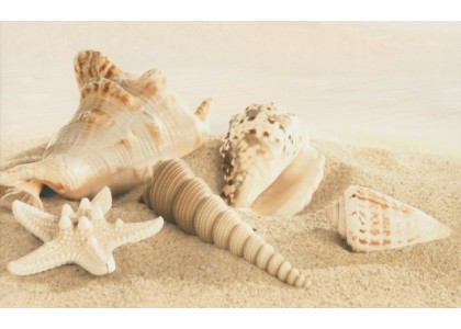 Декор Amalfi sand decor 01 250х400 мм