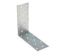 Крепежный уголок равносторонний 100х100х40х2