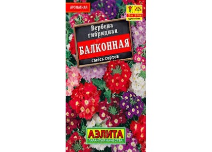 Вербена Балконная смесь сортов 40 шт  (Аэлита)