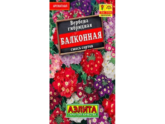 Вербена Балконная смесь сортов 40 шт  (Аэлита)