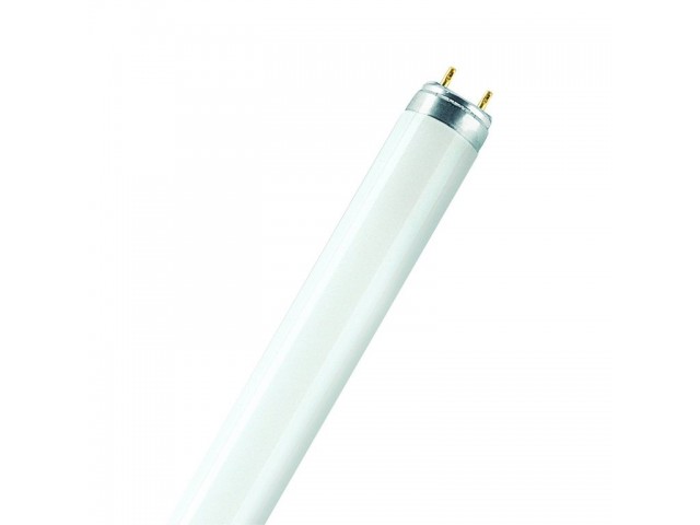 Лампа GE F36/33 640 Холодный белый G13