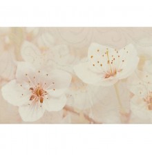 Декор 03 Сакура коричневый 400х250 мм