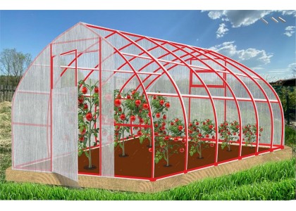 Теплица Рекорд 6х3х2,4м Каплевидная, окрашенная, 2 двери