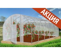 Теплица НАРОДНАЯ  ОЦИНКОВАННАЯ 4х3х2,1м  ТРУБА 30*20 (двери-2, дуги-3, вставок-12, основание-2(4м))