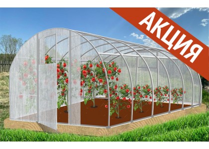 Теплица НАРОДНАЯ  ОЦИНКОВАННАЯ 4х3х2,1м  ТРУБА 30*20 (двери-2, дуги-3, вставок-12, основание-2(4м))