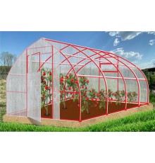 Теплица Рекорд 4х3х2,4м Каплевидная, окрашенная, 2 двери