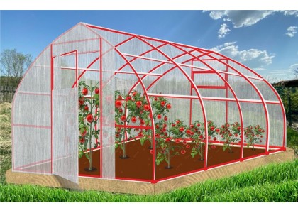 Теплица Рекорд 4х3х2,4м Каплевидная, окрашенная, 2 двери