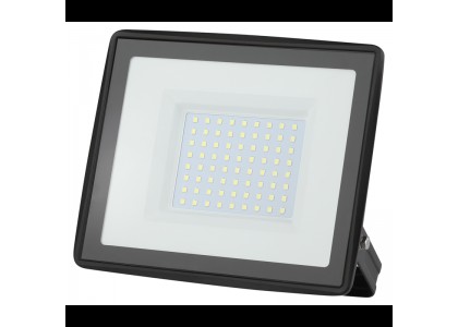 Прожектор LPR-023-0-65K-010 LED 10Вт 6500К 800Лм 81*75*21,5 Эра Б0052021