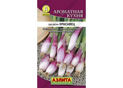 Лук батун Красавец 0,3г (Аэлита) цв