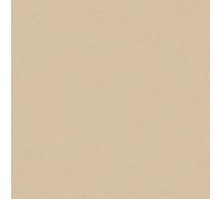 Линолеум коммерческий Acczent PRO Aspect 5 3м