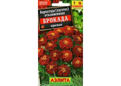 Бархатцы Брокада Красные низкорослые 0,3г  (Аэлита) 