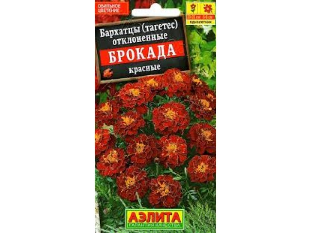 Бархатцы Брокада Красные низкорослые 0,3г  (Аэлита) 