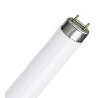 Лампа люминисцентная Osram L 18W/640 T8 G13 4000К