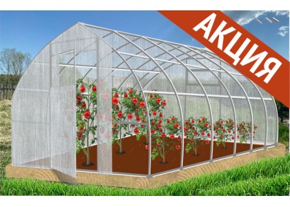 Теплица Народная 6х3х2,4м Рекорд, оцинкованная, 2 двери