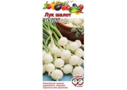 Лук шалот Изумруд 0,1г (Гавриш) цв