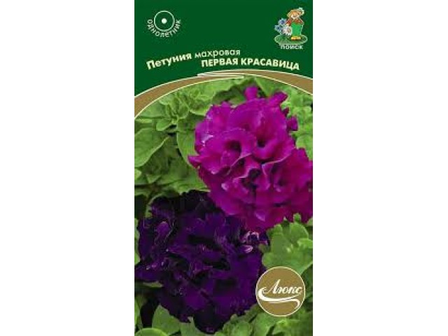 Петуния Первая красавица смесь махровая 10шт (Поиск)