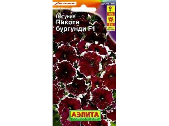 Петуния Пикоти F1 Бургунди  многоцветковая 7шт (Аэлита)