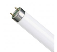 Лампа люминисцентная Osram L 36W/640 T8 G13  1,22м