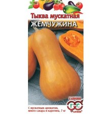 Тыква Жемчужина 1г мускатная (Аэлита)