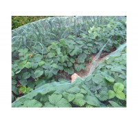 Сетка от птиц 2,0х10м 