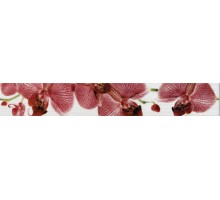 Бордюр Фиори орхидея 60х400 (30шт/кор)