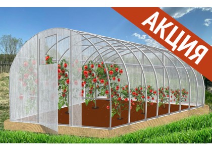 Теплица Народная 4х3х2,1м Суперусиленная, оцинкованная, 2 двери