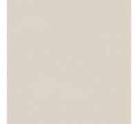 Линолеум коммерческий Acczent PRO Aspect 4 3м (60)	